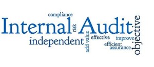 Practice Internal Audit